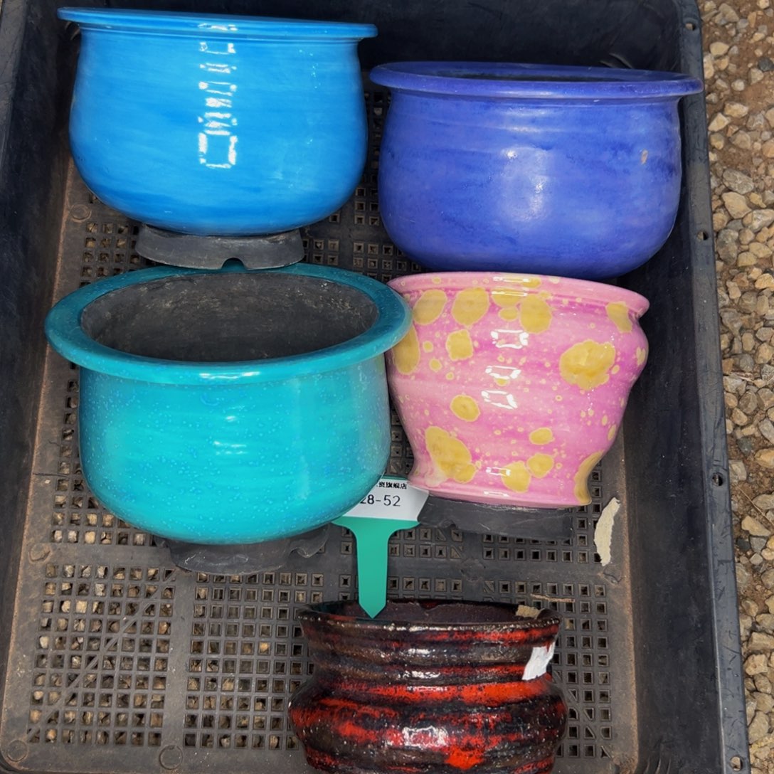 从前慢多肉编号1028-52