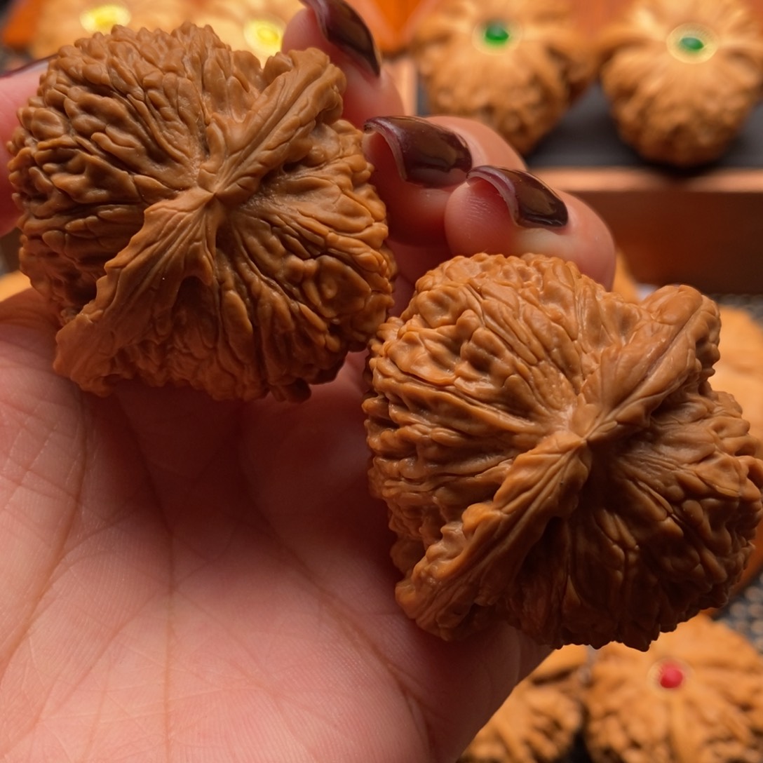 文玩核桃把件45尺寸白狮子