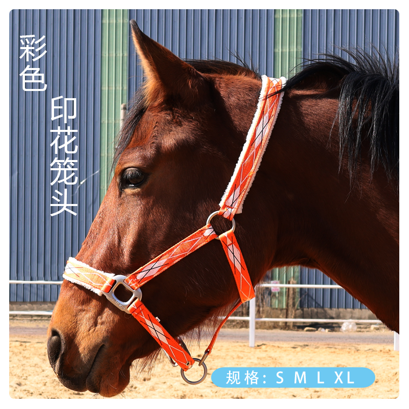 彩色印花牵马笼头马术用品马具可调节高端牵引笼头马龙头