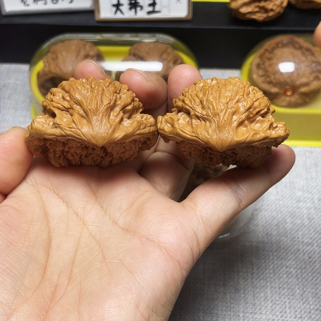 木质鹰嘴48尺寸599988