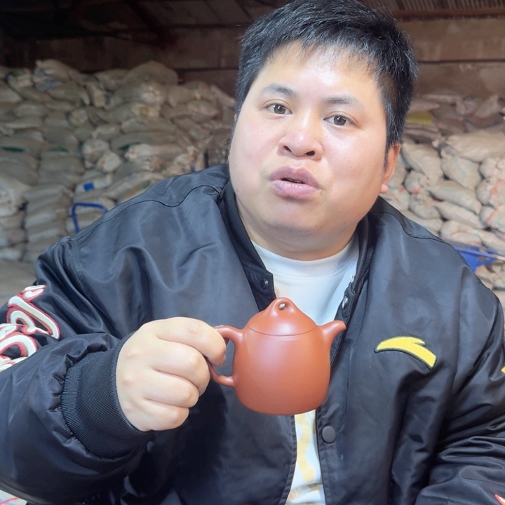 紫砂茶壶朱泥111111111