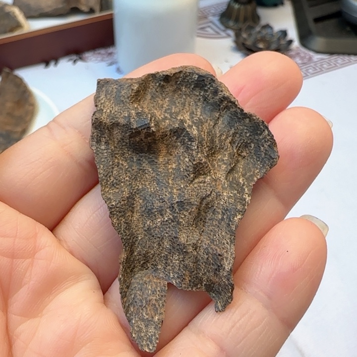 沉香摆件海南野生包头厚3.6克