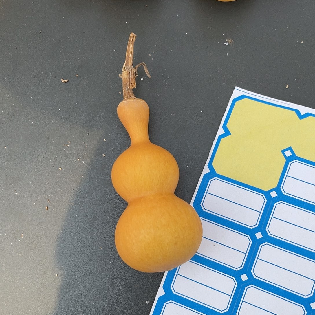 平***n88葫芦8888888888