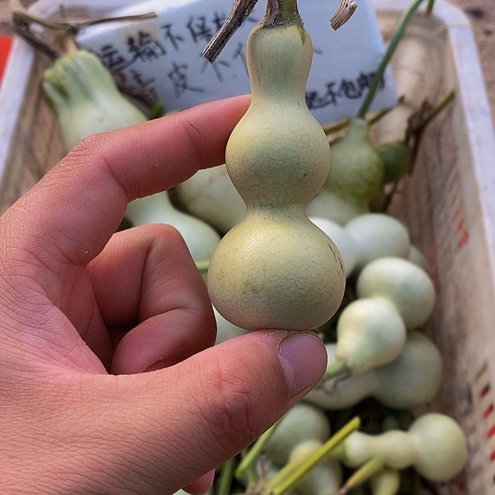 一**人哈哈哈哈哈恍恍惚惚