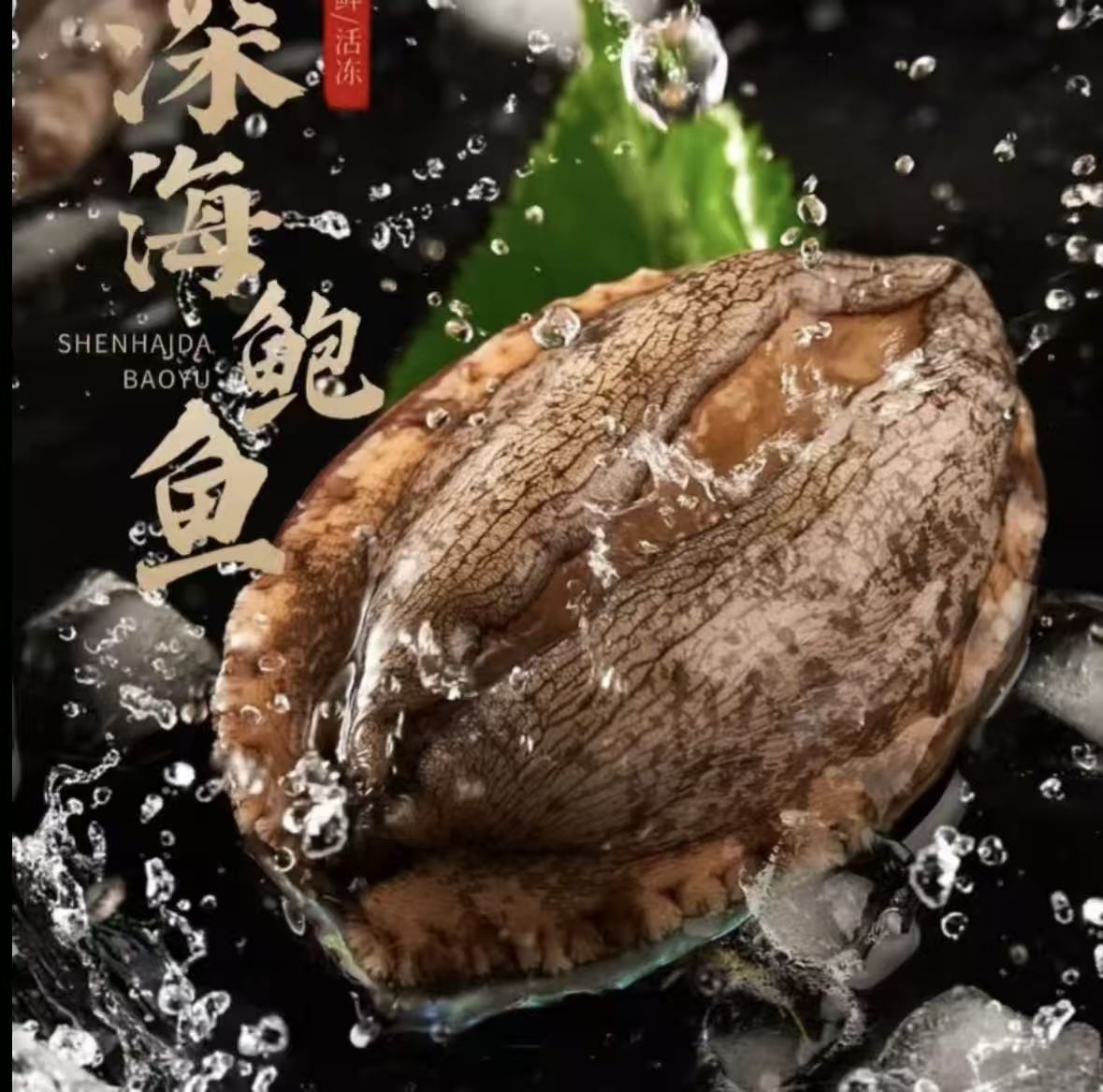 【新疆发货】A大号鲍鱼肉5-6厘米纯肉速冻 红烧炖肉 生鲜 冷链发货