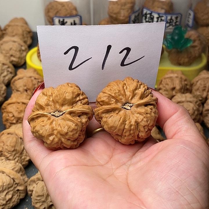 热***血核桃蛤蟆的眼睛也太好看