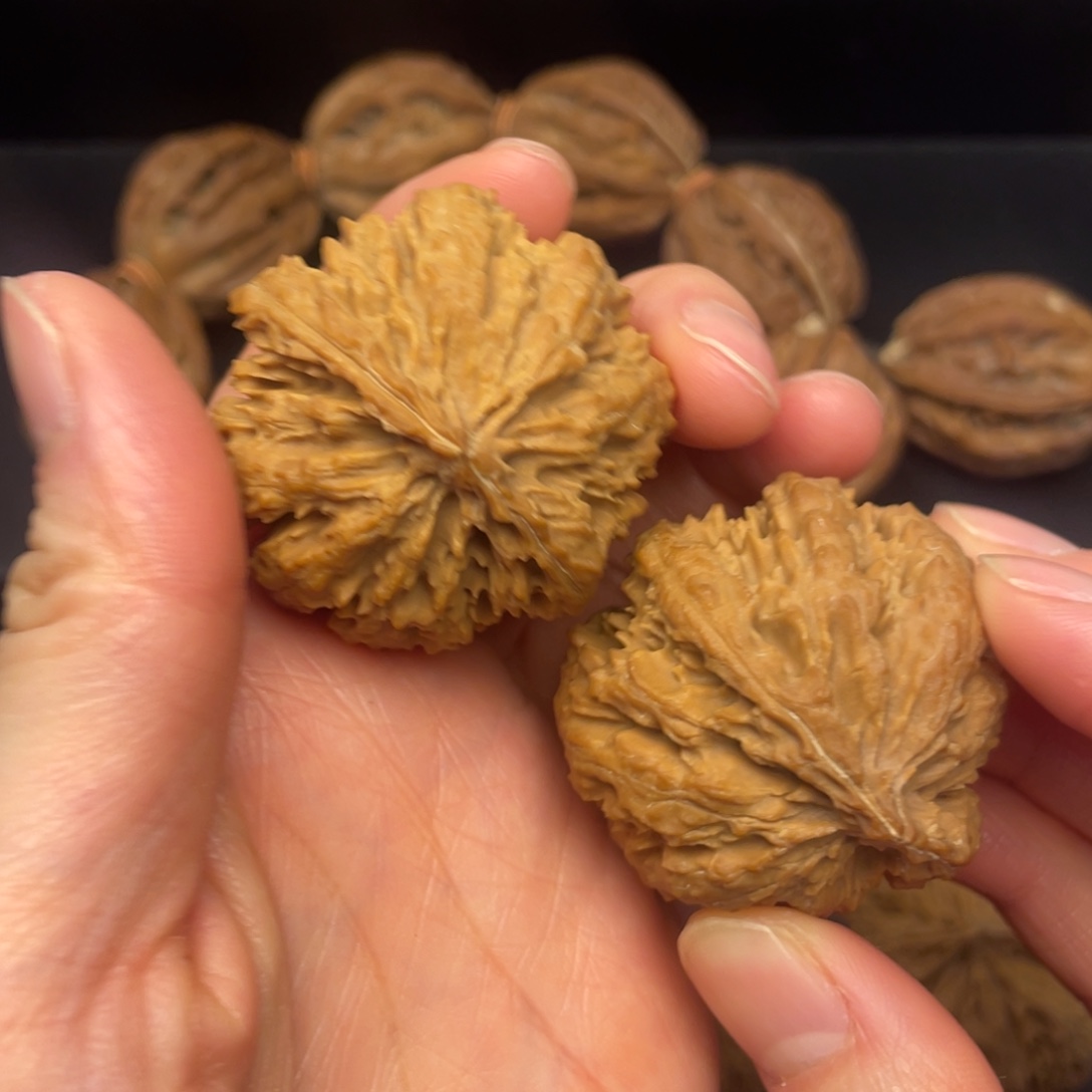 泰***腾核桃秦岭核桃15号