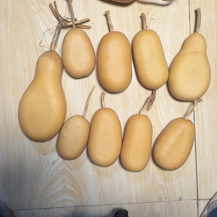 别***赖葫芦瑕疵扁专属链接