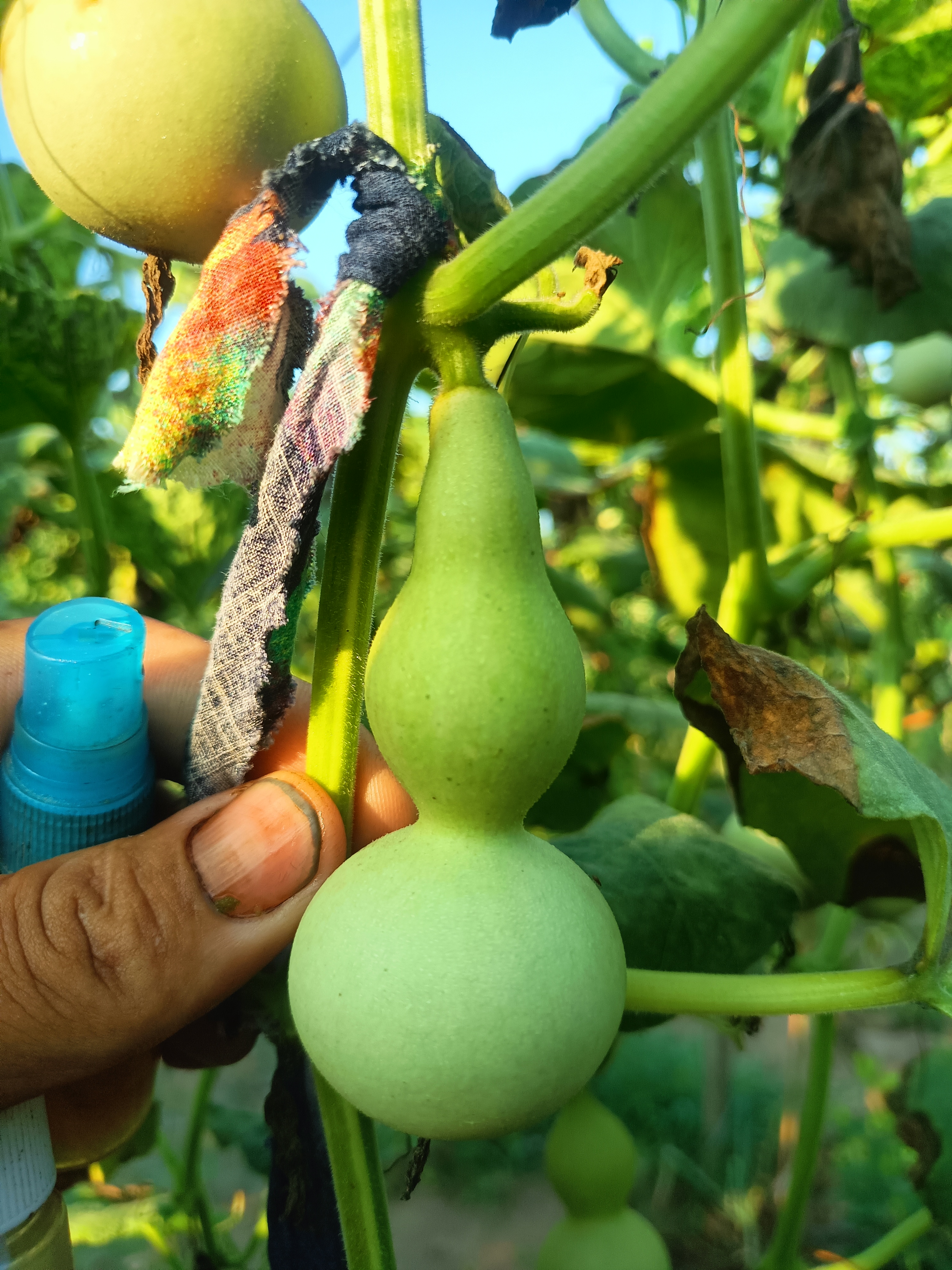 一物一拍  完美主义者勿拍  不退不换