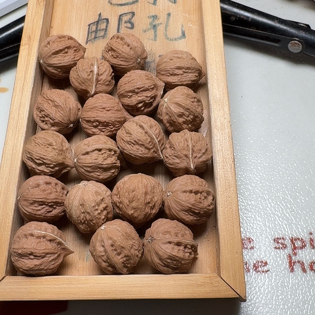 核桃手串/手链1号边24手持