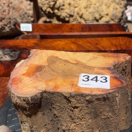 大果紫檀（缅甸花梨）