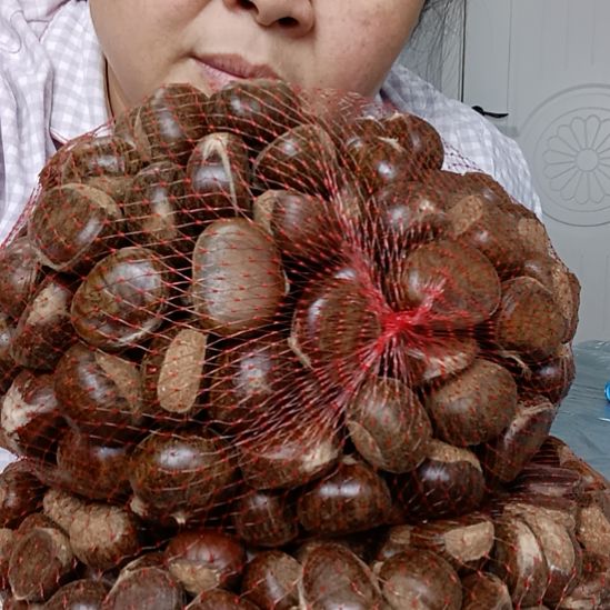 中国大陆正宗迁西板栗