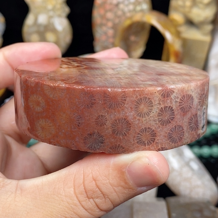 未镶嵌手镯硅化玉