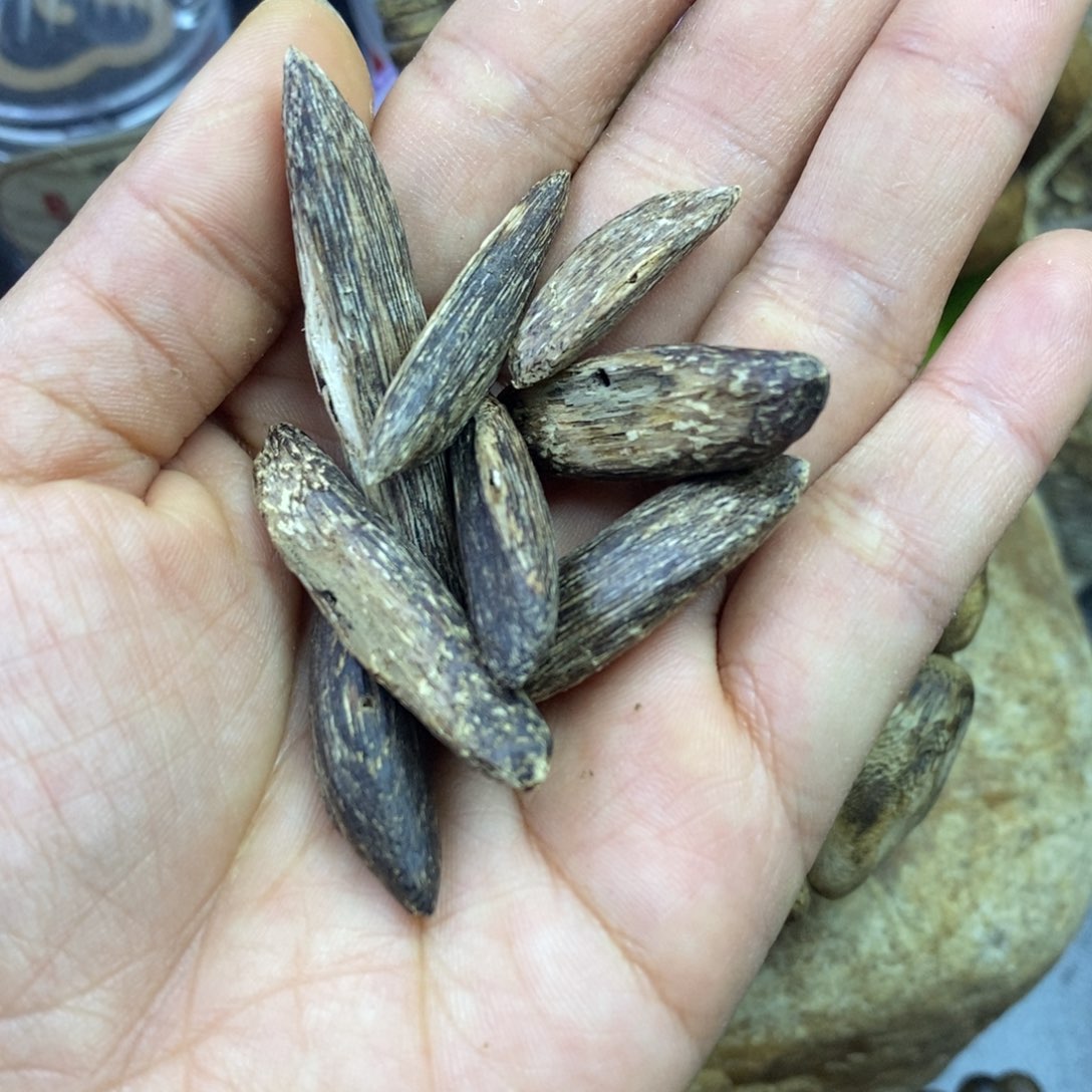 沉香野料瓜子料5.3克