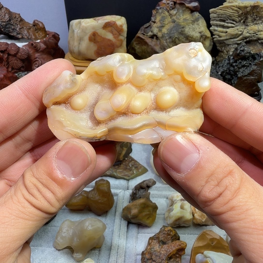 大叶紫檀（黑酸枝木类）