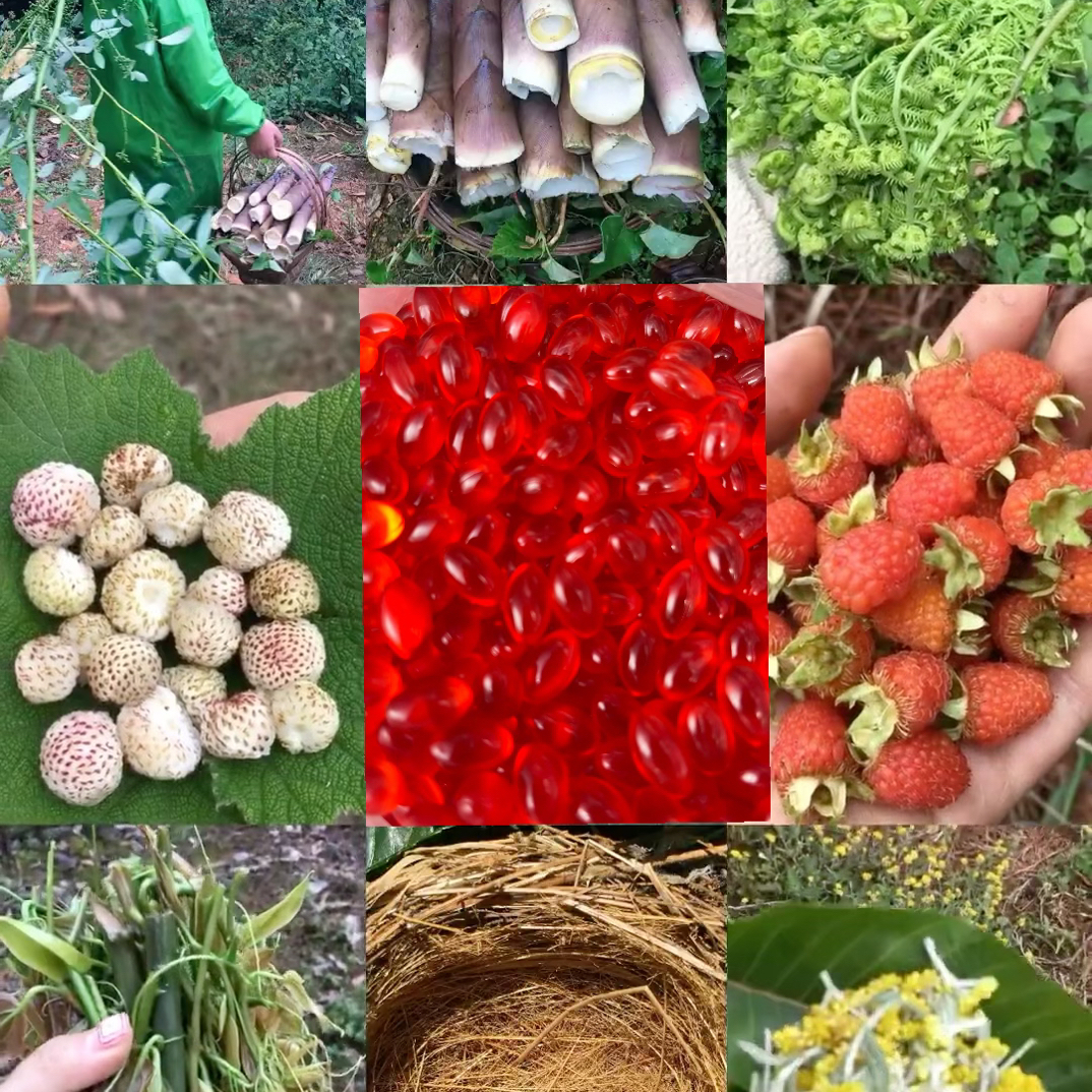 云南边境山货J油