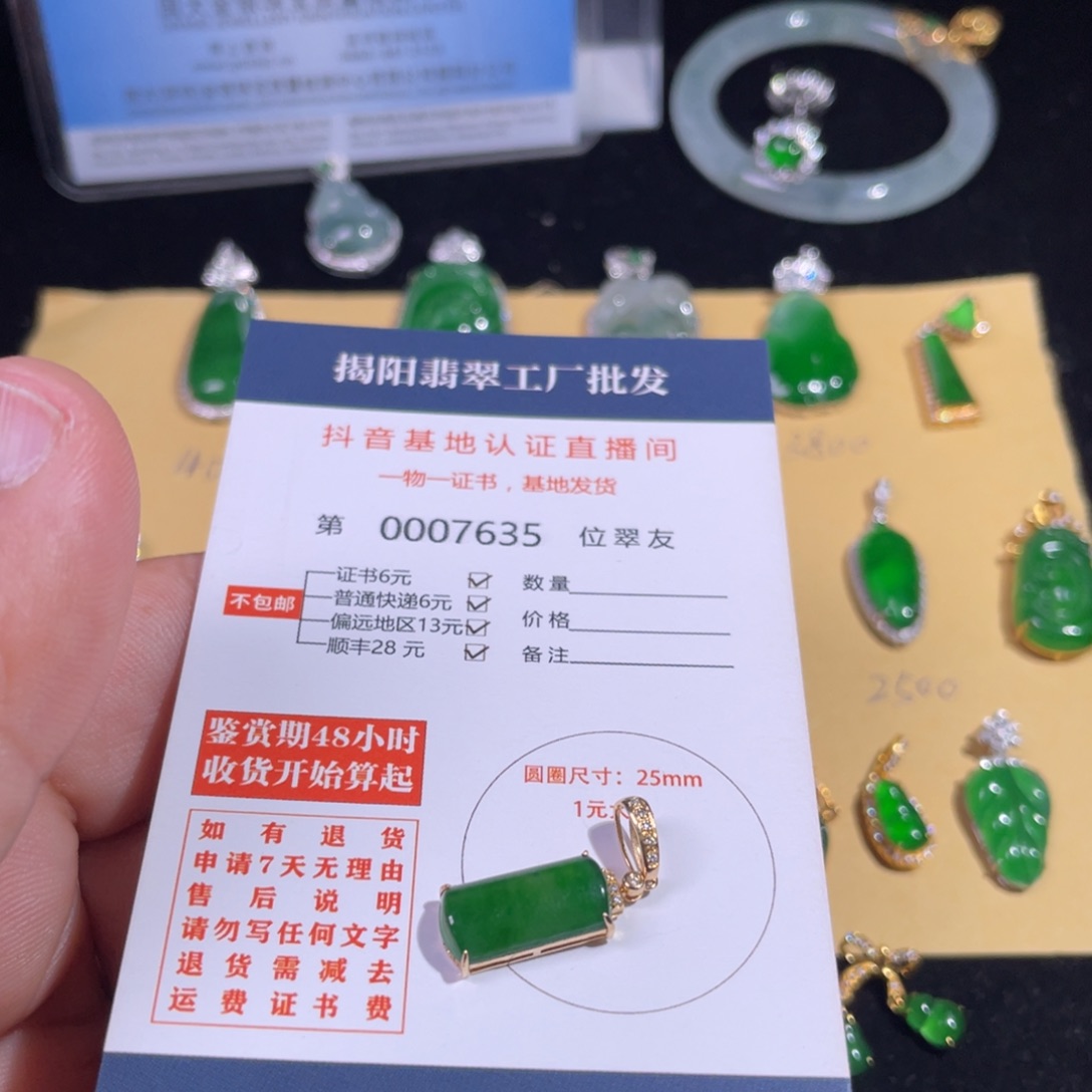 翡翠颈饰18K金镶嵌一****界翡翠