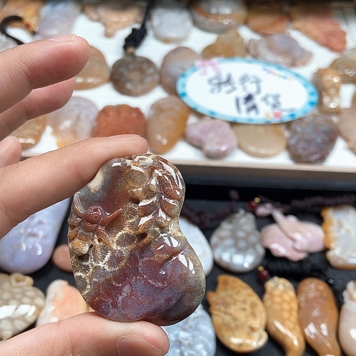 颈饰未镶嵌硅化珊瑚（珊瑚玉）