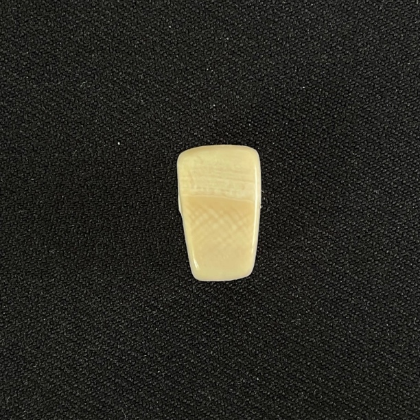 PT67 一字三通 只做天然猛犸牙