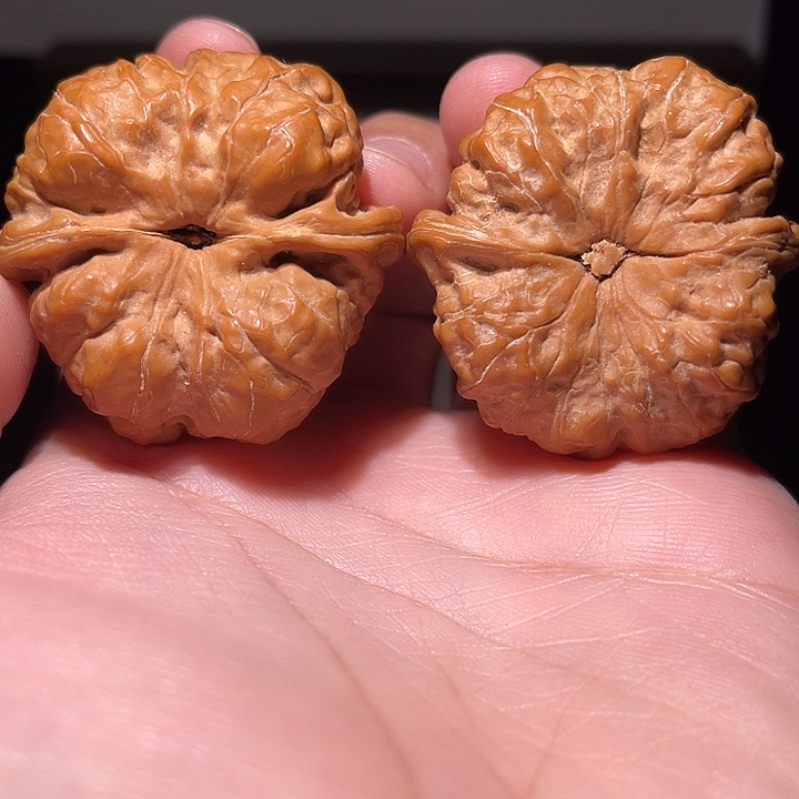 核桃手串/手链0421  