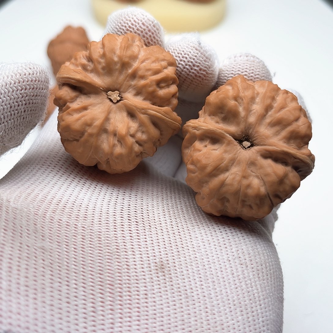 核桃手串/手链果***汁36尺怀柔蛙