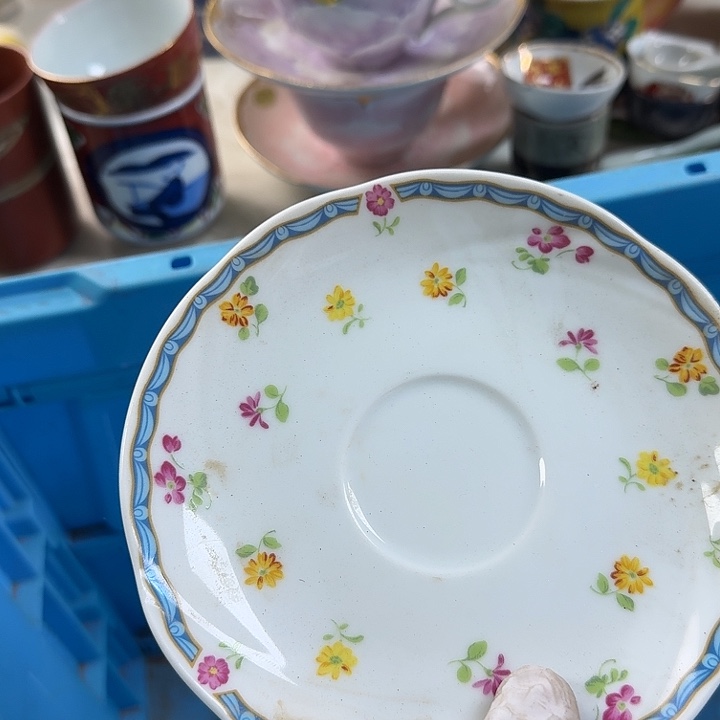 碗开播啦…开播啦