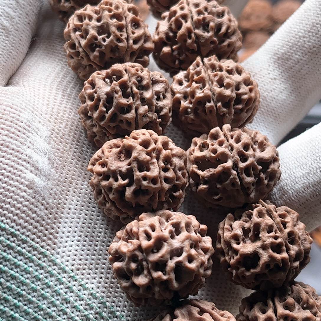 金刚菩提手串大*栗23大漏空头货