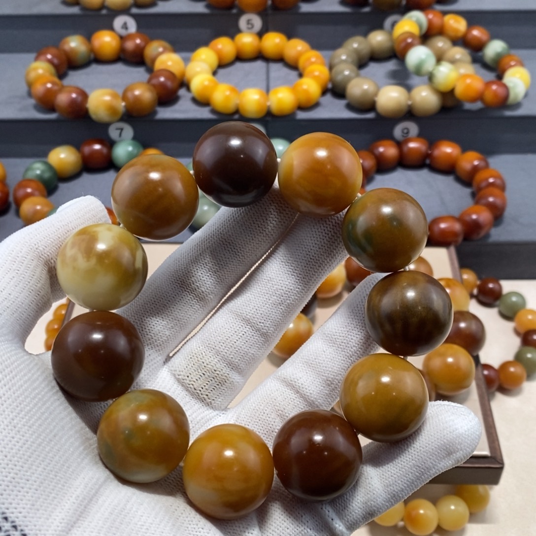 *****菩提根/象牙果手串
