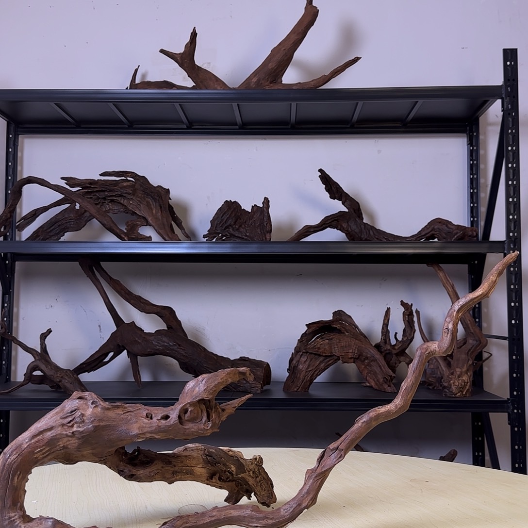 云南紫柚木秒沉001