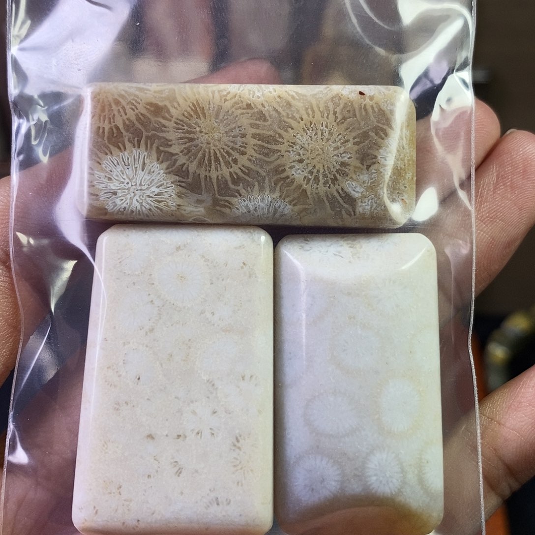 硅化珊瑚（珊瑚玉）吊坠未镶嵌娜*子