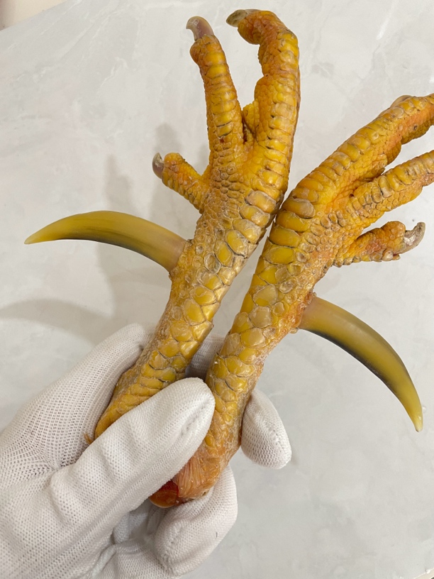 鸡爪骨手把件粗骨粗蹬一对