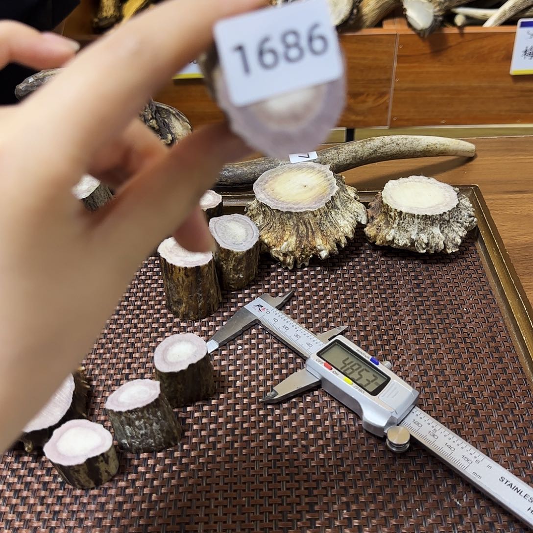 鹿骨手串/手链1686 根段