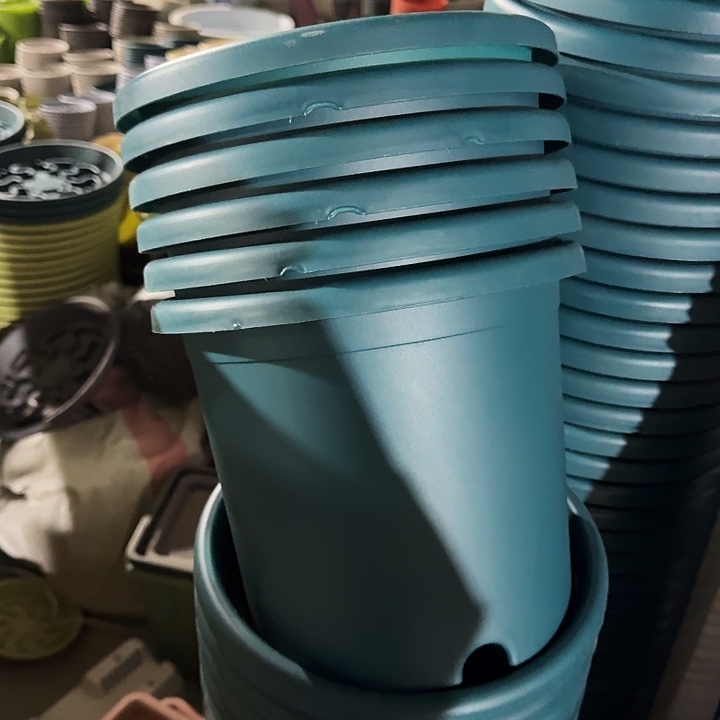 缺口4#口径25军绿10个无托