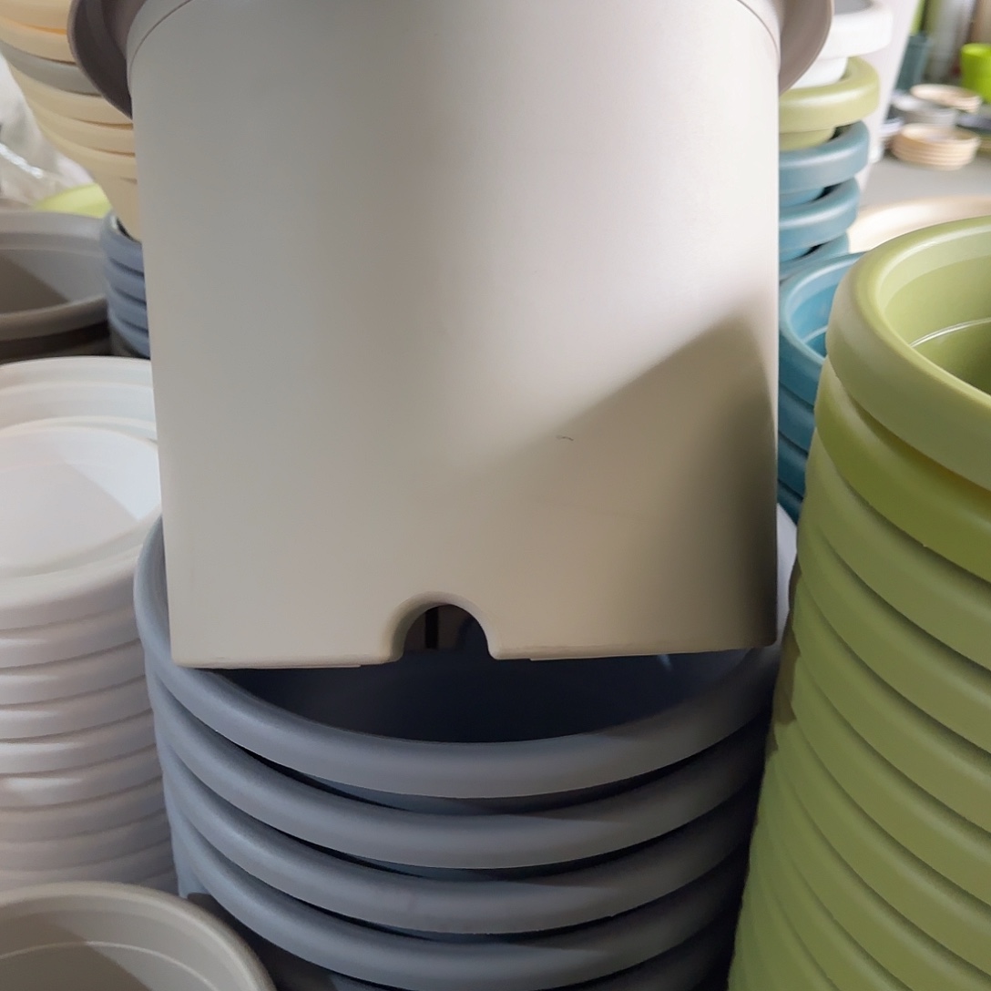 树脂四季6号无托7个灰白微瑕