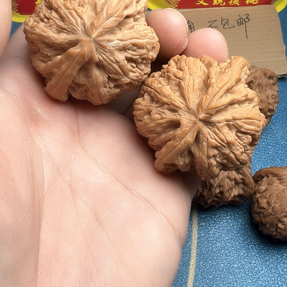 文玩核桃把件46大粗筋