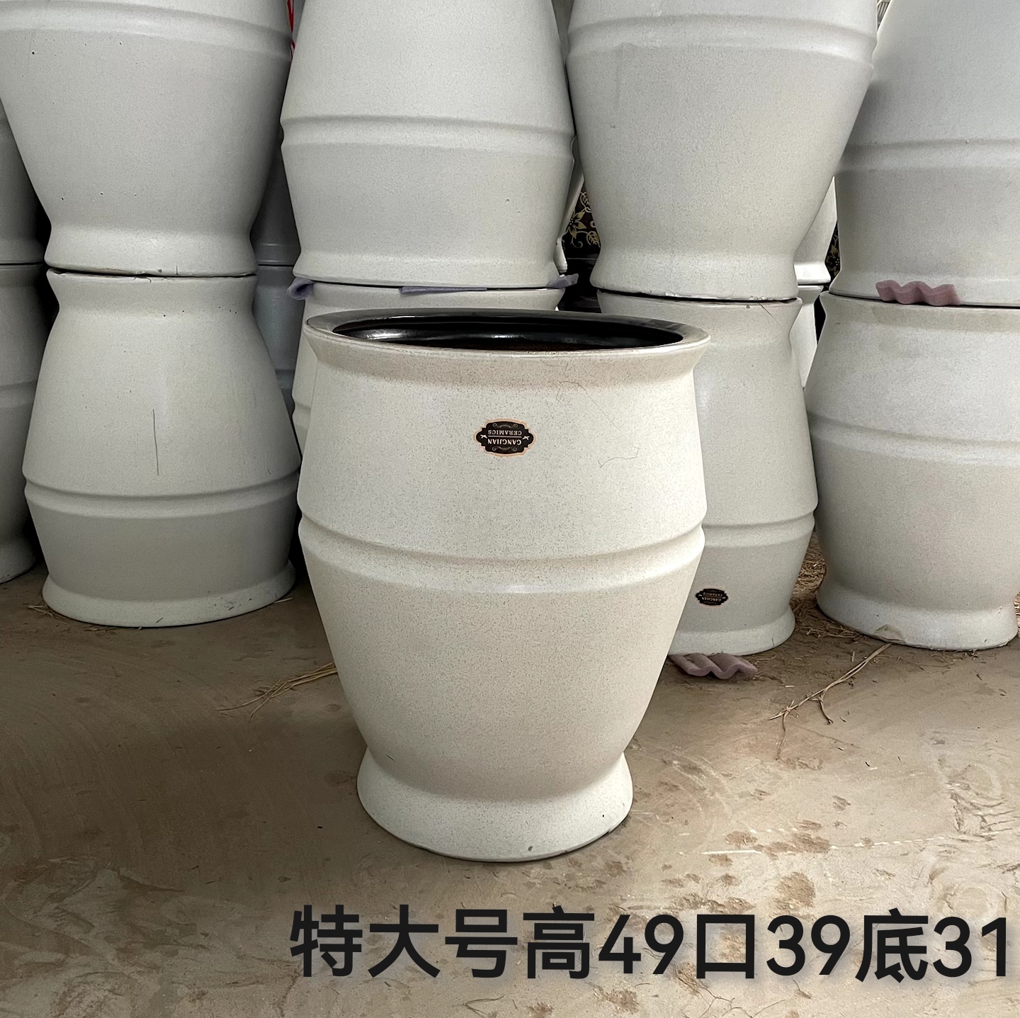 简约透气特大号花盆适合三角梅天堂鸟等绿植家用