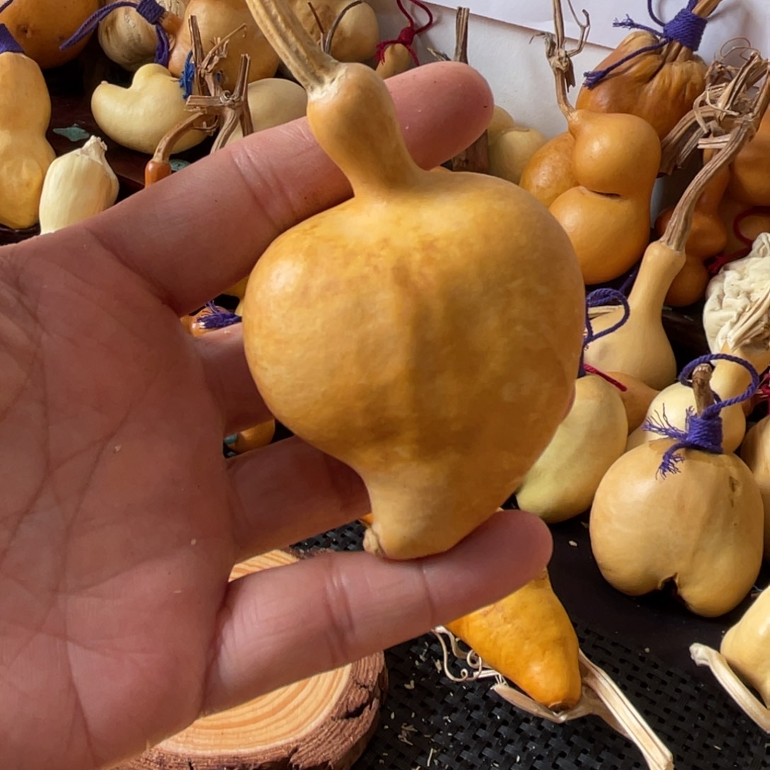 观***雨葫芦葫哈哈哈哈哈哈哈哈