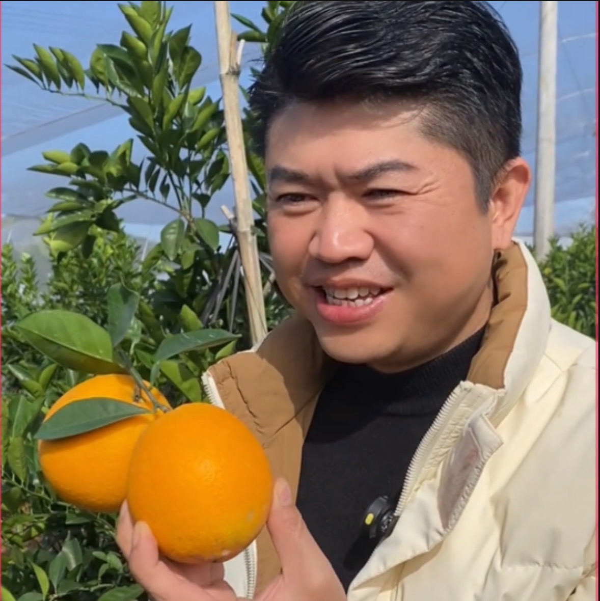 ｛陶小江专属｝赣南脐橙｛寻乌直发｝现摘现发新鲜水果