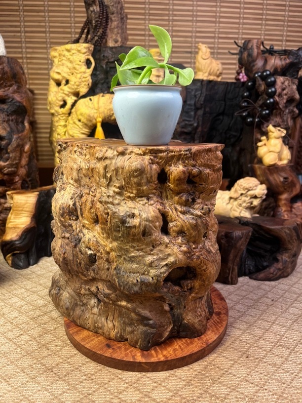 天然雷击枣木 精品  随型底座摆件 树桩精美 老料一物一拍
