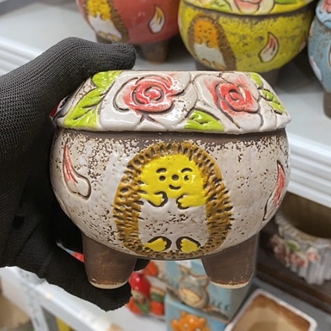 【闪购商品】红陶。