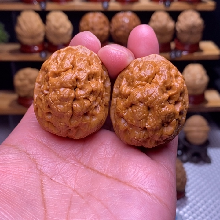 木质类云铁凤眼81号