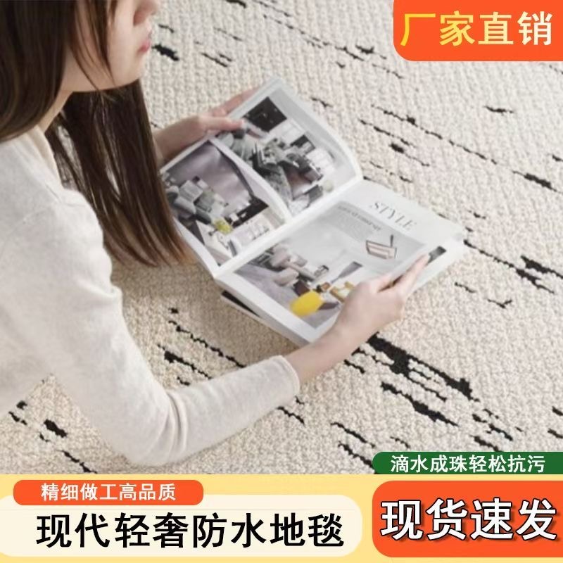 防水地毯法式新款客厅加厚免洗床边高级简约轻奢卧室沙发地垫茶几