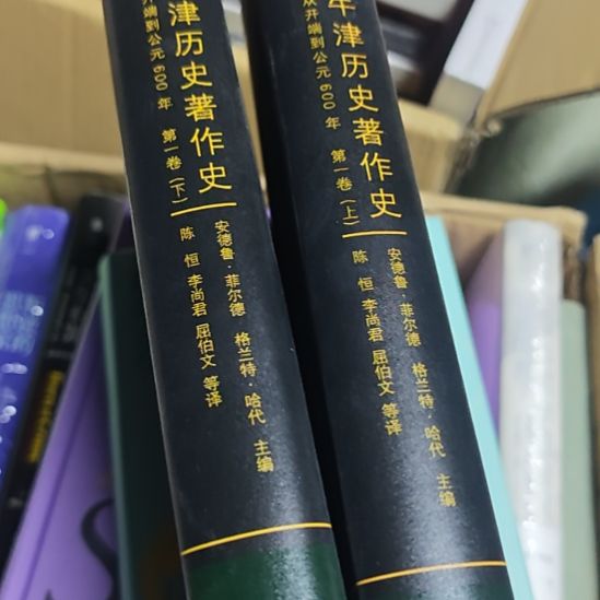 牛津历史著作史精装两本一套，全新。