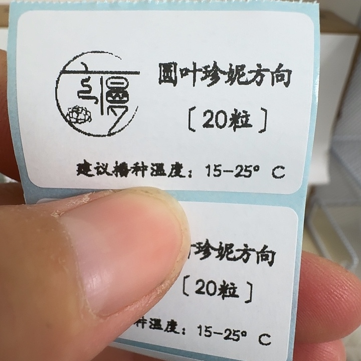 如图2025年种子圆叶珍妮方向20粒不包出芽率