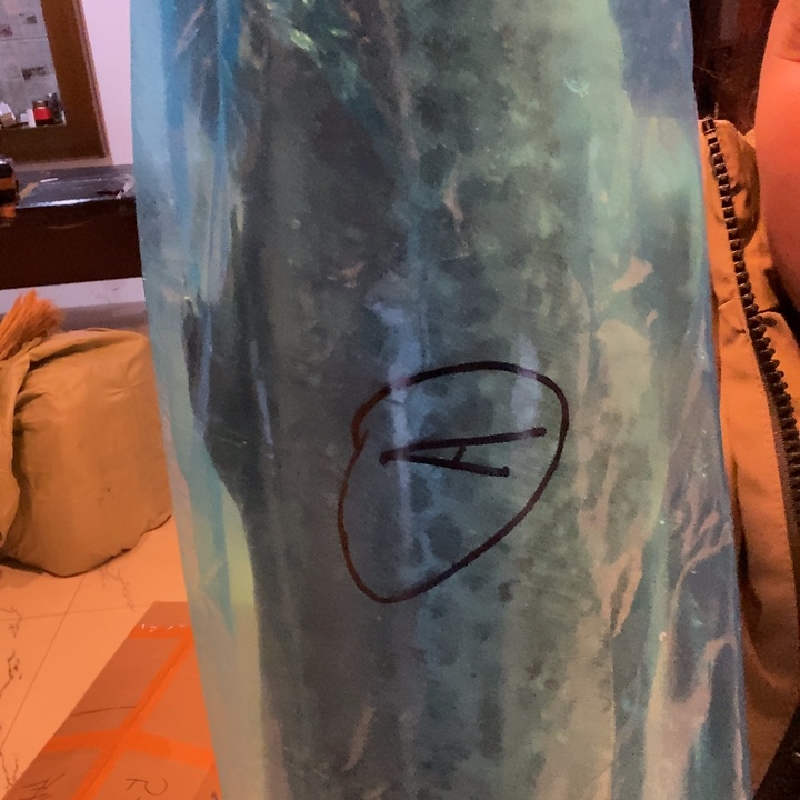 華***祥中国大陆渤海湾野生燕鲅鱼A