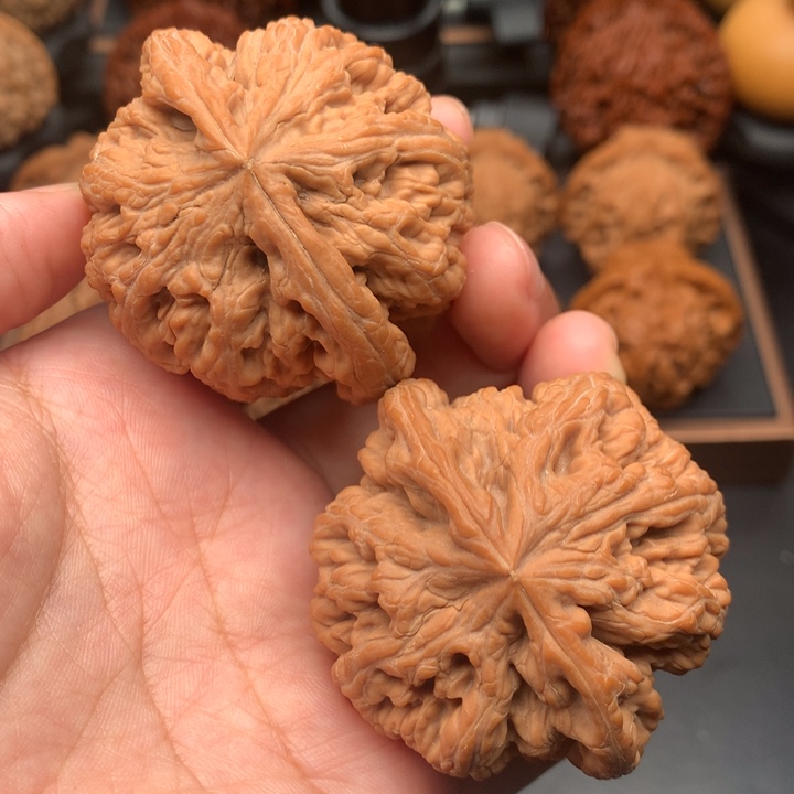 文玩核桃把件49全品红皮大粗筋
