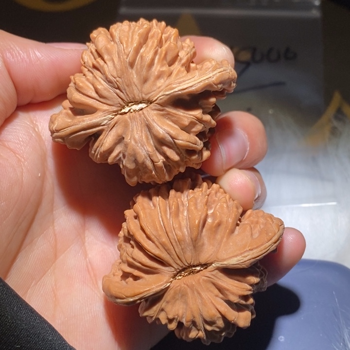 抖***筒文玩核桃吊坠精品课程等课程教学