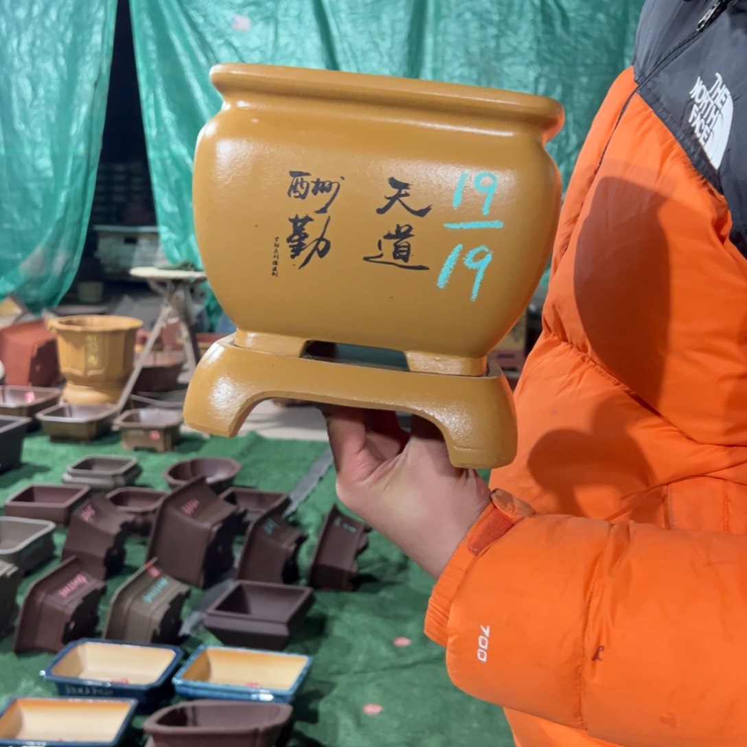 紫砂花盆紫砂花盆