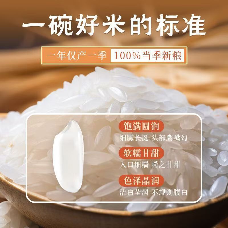 东北石板长粒香大米口感清香软糯一年一季当季新米10斤装产地直发
