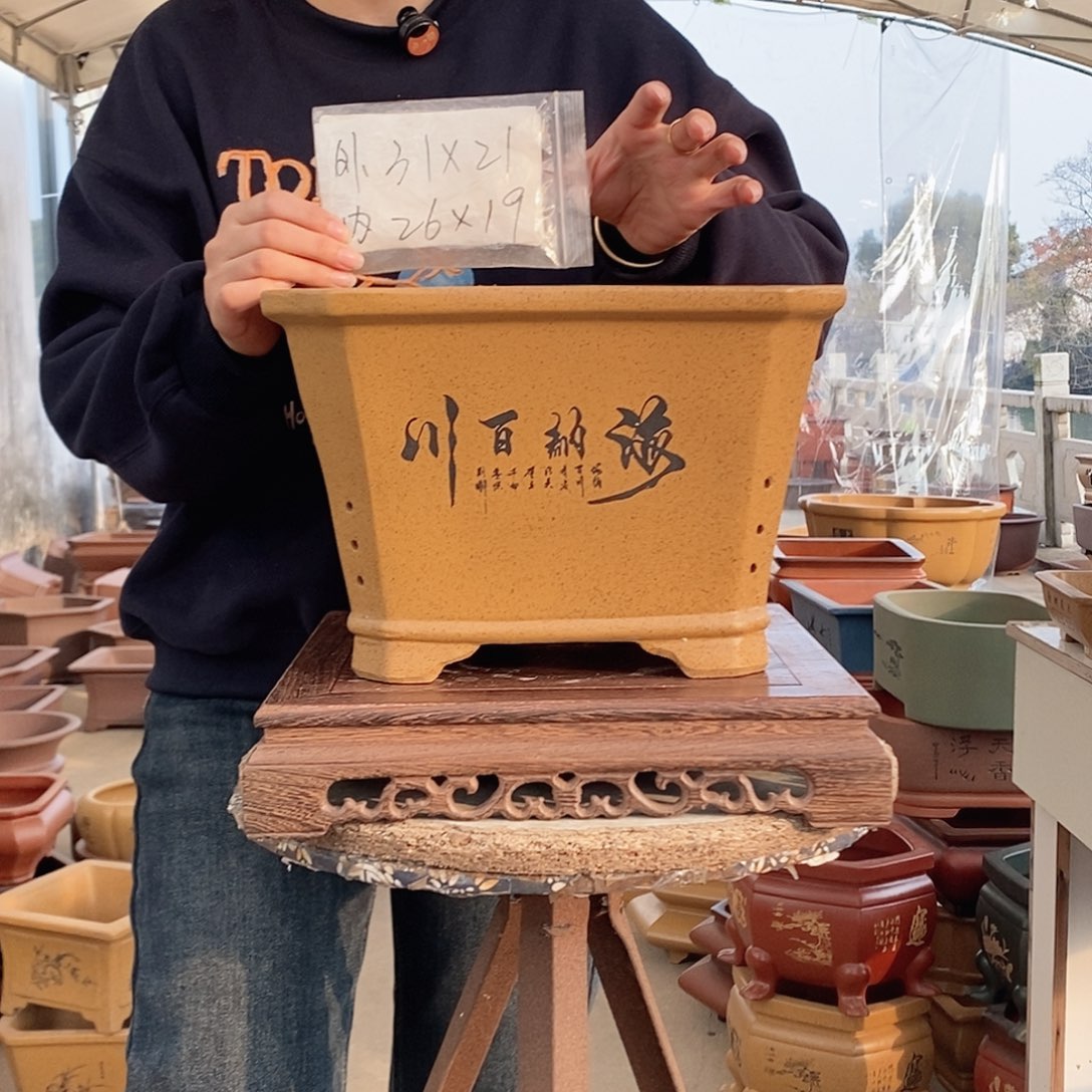 紫砂花盆紫砂花盆